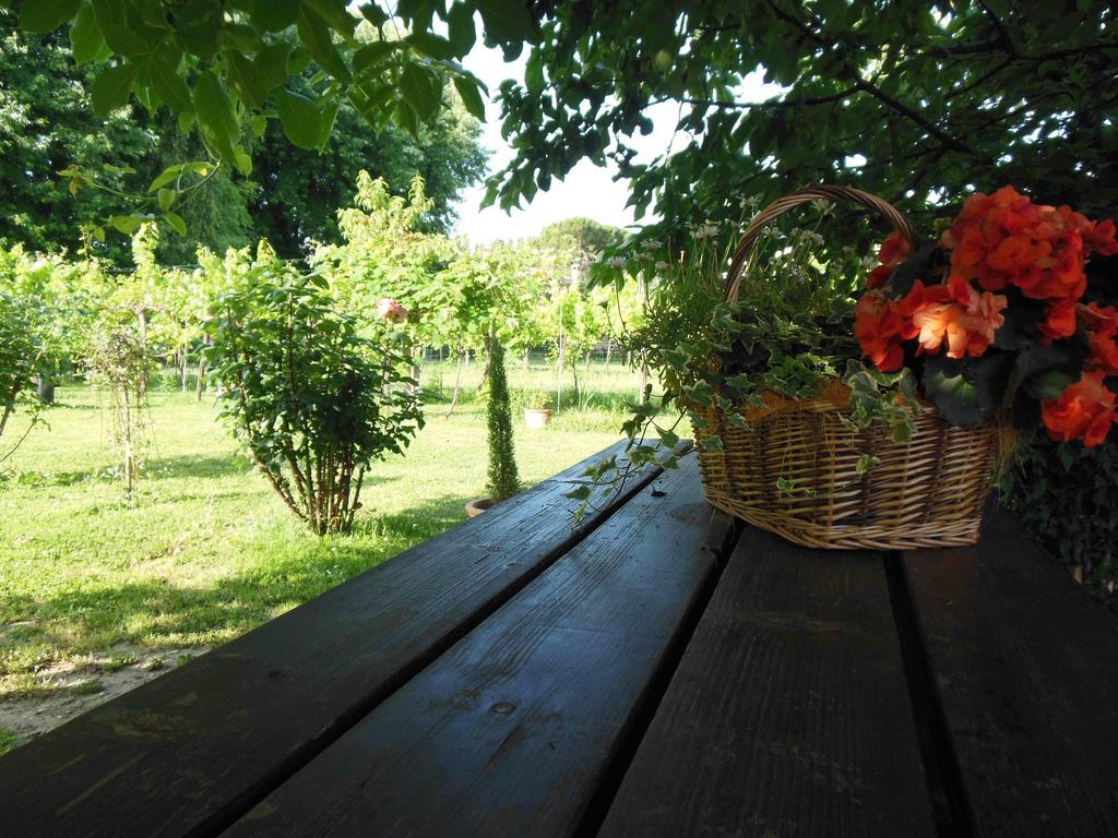Al Pic De Corone Bed & Breakfast Terzo d' Aquileia Екстериор снимка