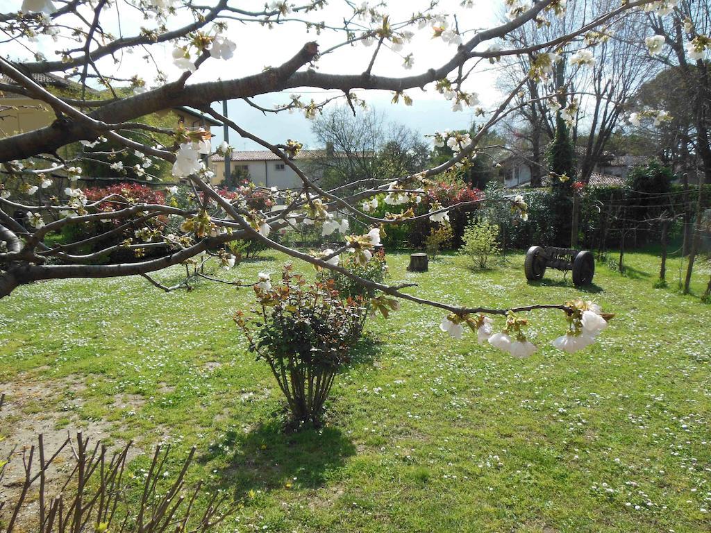 Al Pic De Corone Bed & Breakfast Terzo d' Aquileia Екстериор снимка