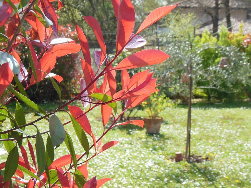 Al Pic De Corone Bed & Breakfast Terzo d' Aquileia Екстериор снимка