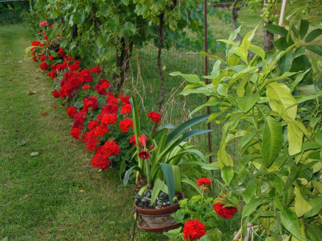 Al Pic De Corone Bed & Breakfast Terzo d' Aquileia Екстериор снимка