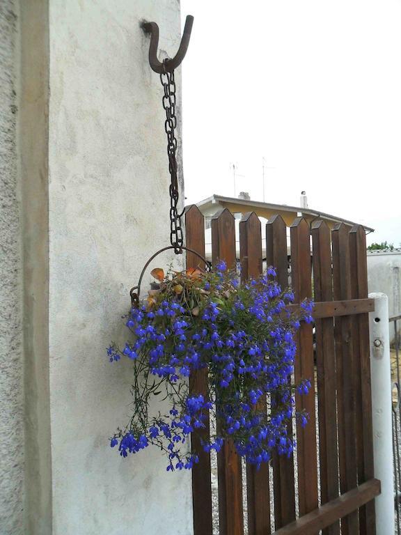 Al Pic De Corone Bed & Breakfast Terzo d' Aquileia Екстериор снимка