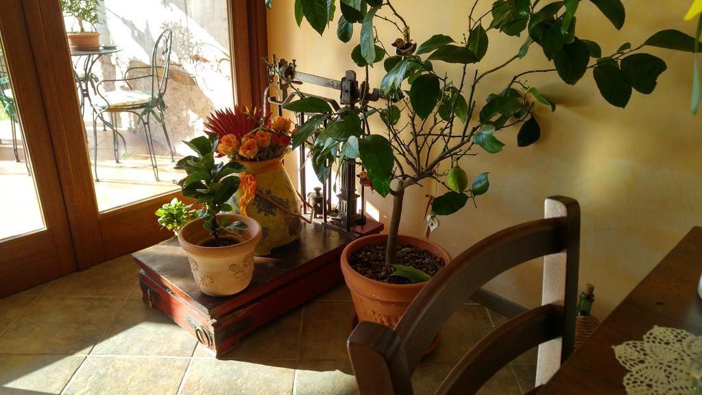 Al Pic De Corone Bed & Breakfast Terzo d' Aquileia Екстериор снимка