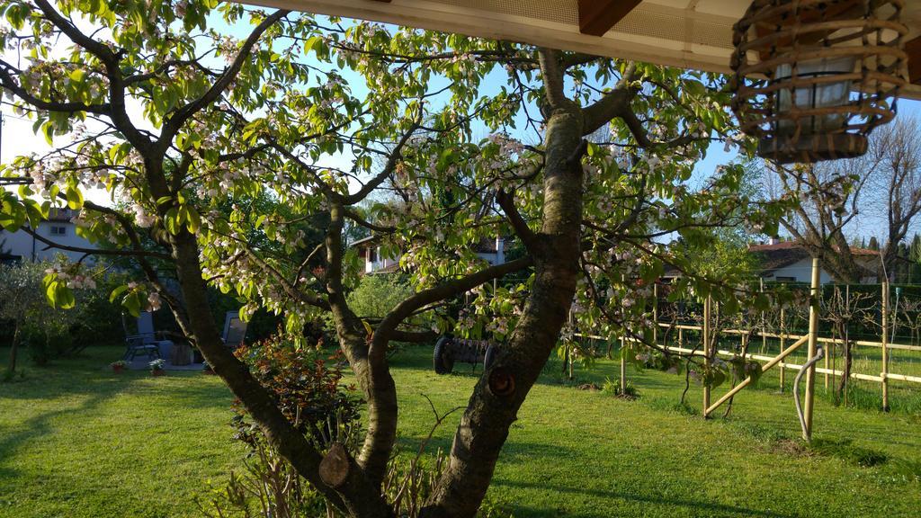 Al Pic De Corone Bed & Breakfast Terzo d' Aquileia Екстериор снимка