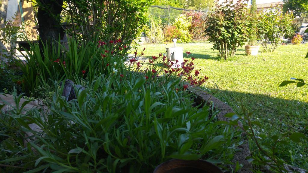 Al Pic De Corone Bed & Breakfast Terzo d' Aquileia Екстериор снимка