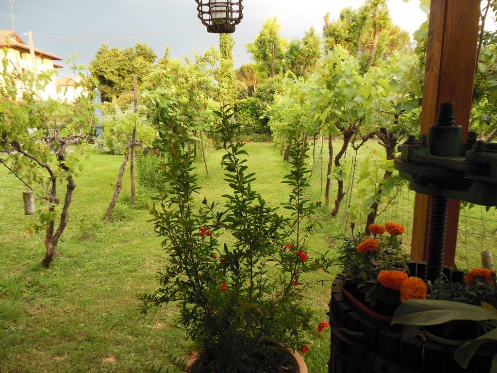 Al Pic De Corone Bed & Breakfast Terzo d' Aquileia Екстериор снимка