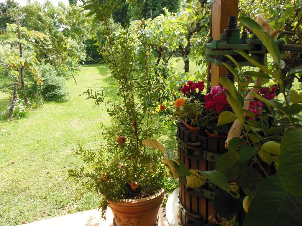 Al Pic De Corone Bed & Breakfast Terzo d' Aquileia Екстериор снимка
