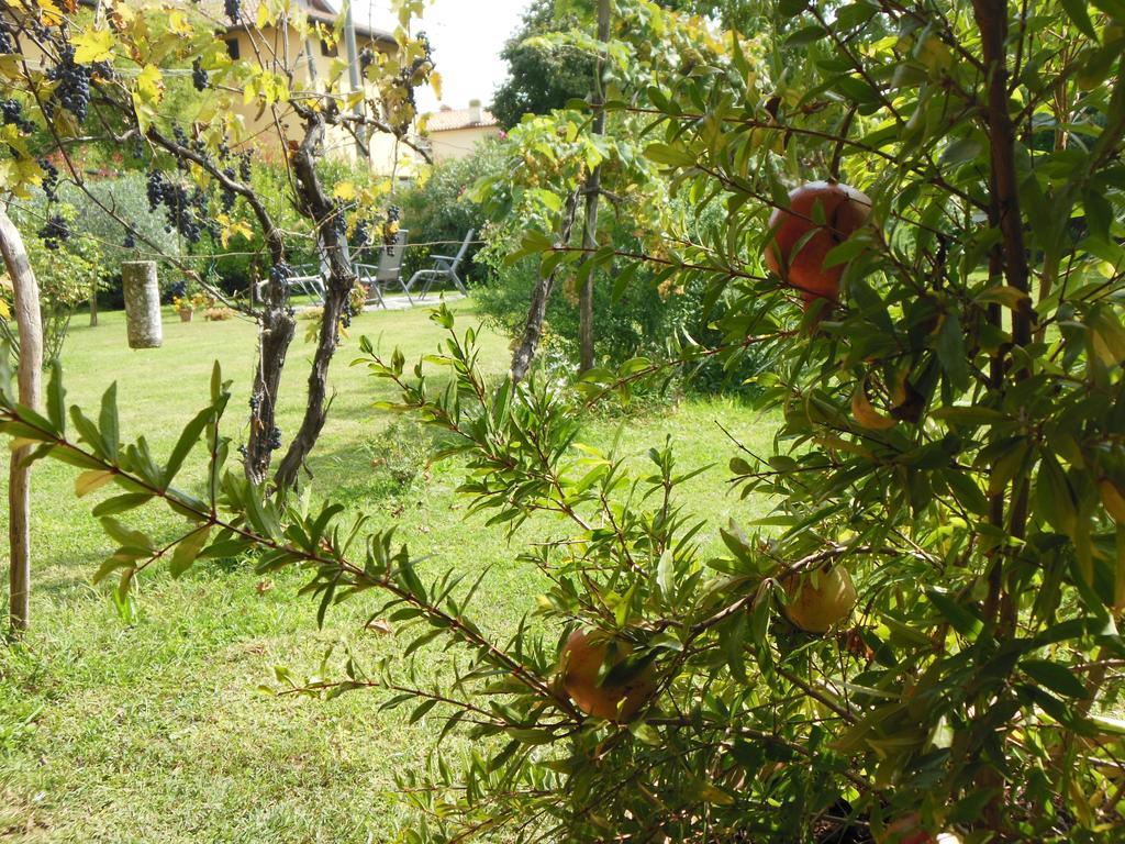 Al Pic De Corone Bed & Breakfast Terzo d' Aquileia Екстериор снимка